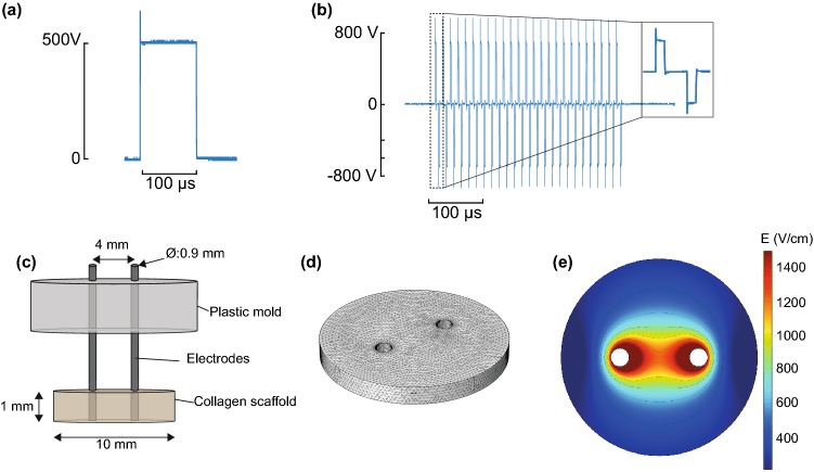 Figure 1