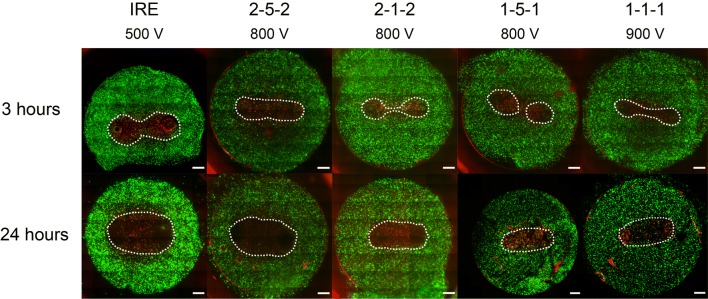 Figure 2