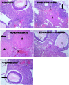 Fig. 11