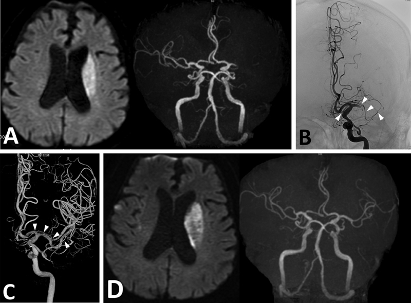 Fig. 2