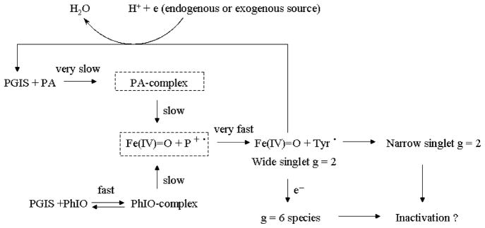 Figure 8