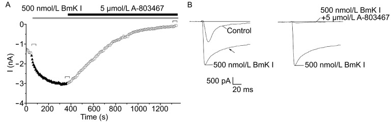 Figure 5