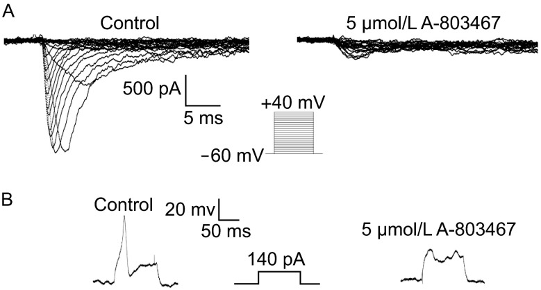 Figure 1