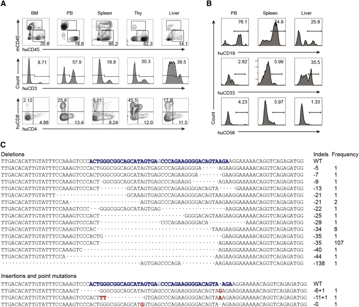 Figure 2