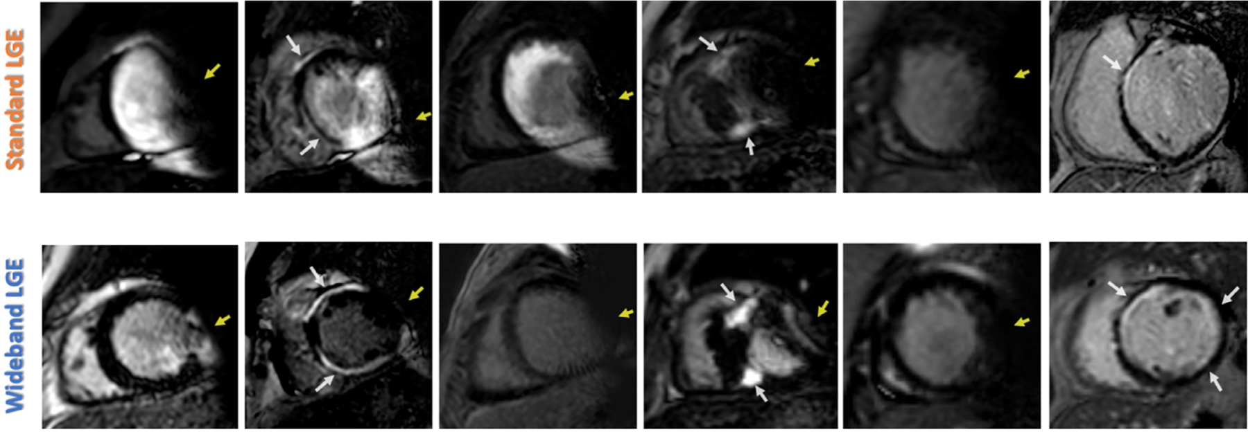 FIGURE 5: