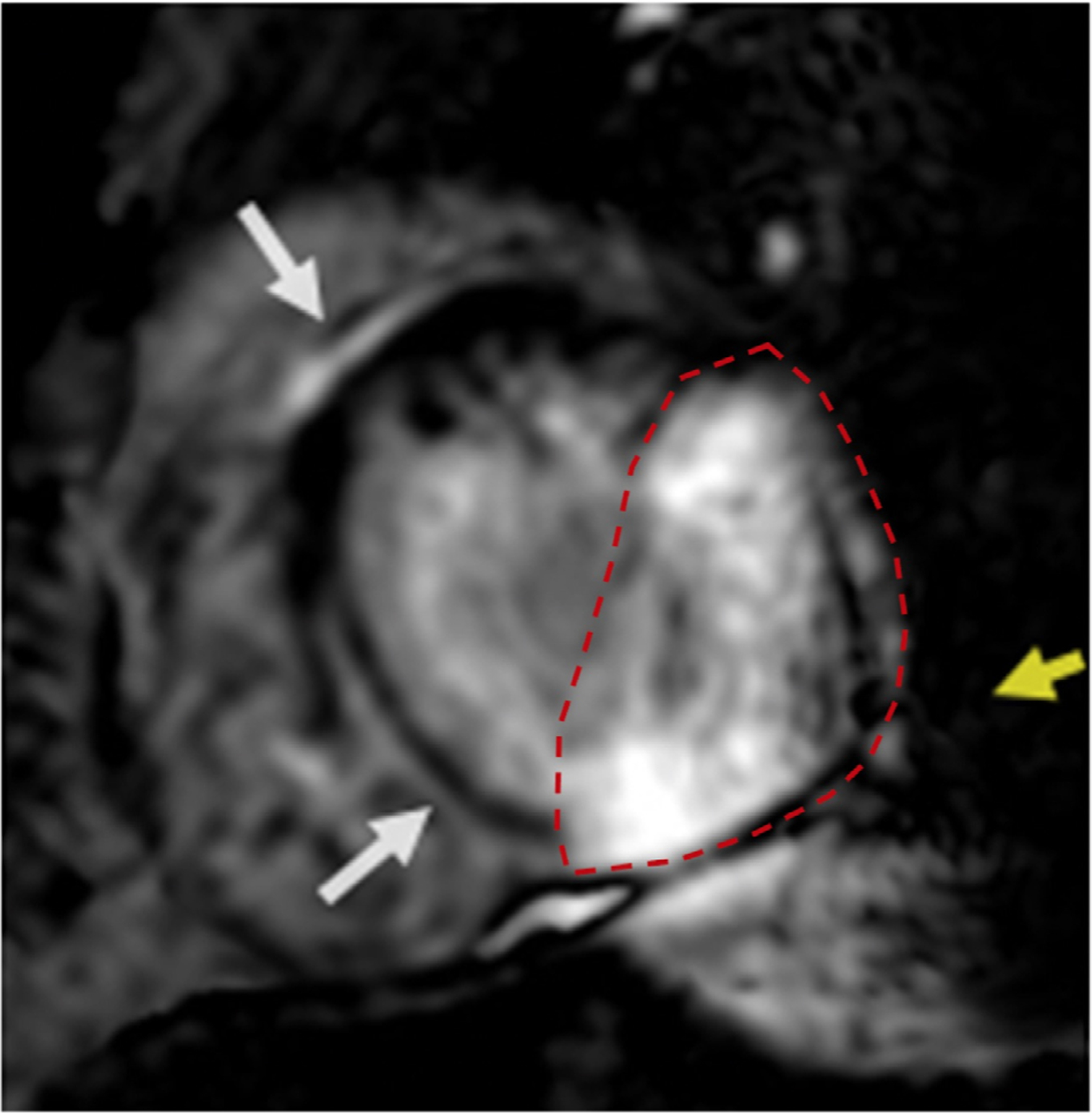 FIGURE 2: