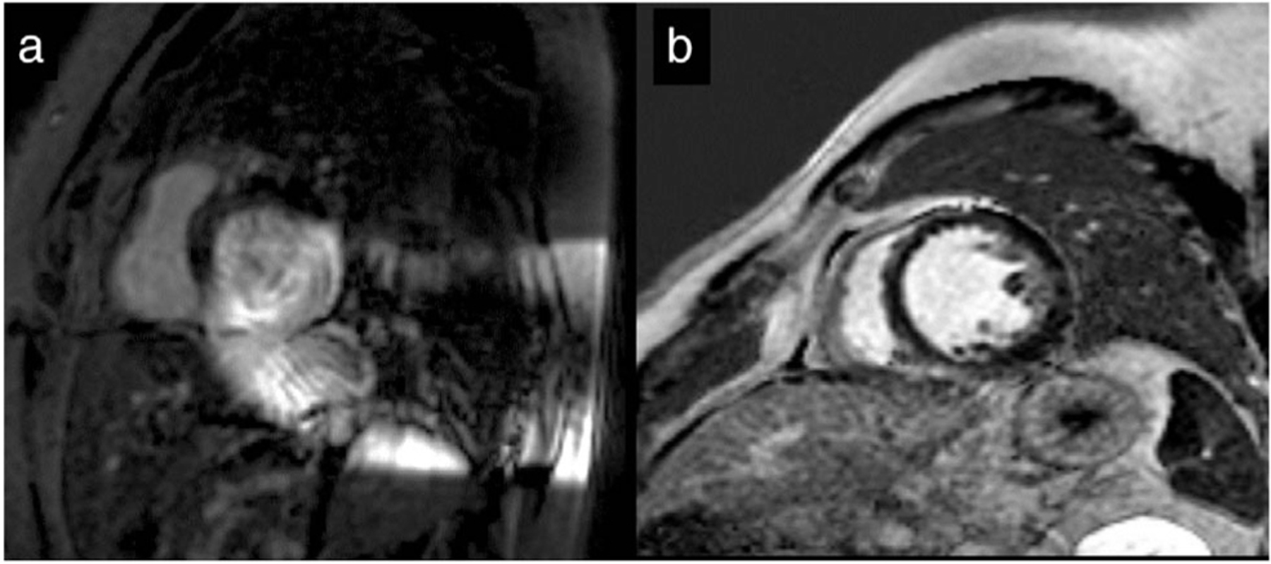 FIGURE 1: