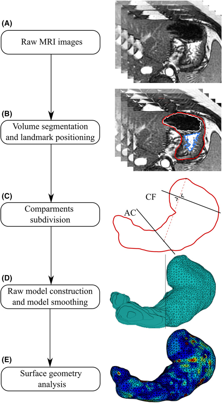 FIGURE 1