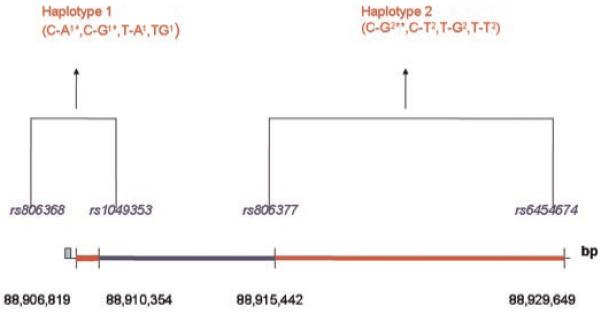 Fig. 1