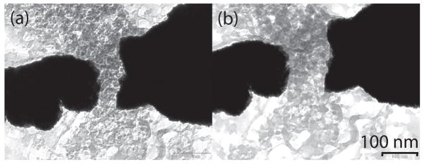 Fig. 10