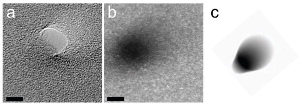 Fig. 7