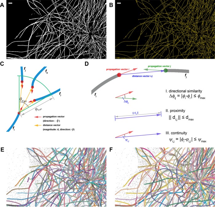 FIGURE 3: