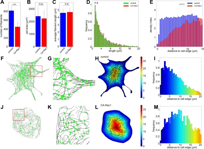 FIGURE 6: