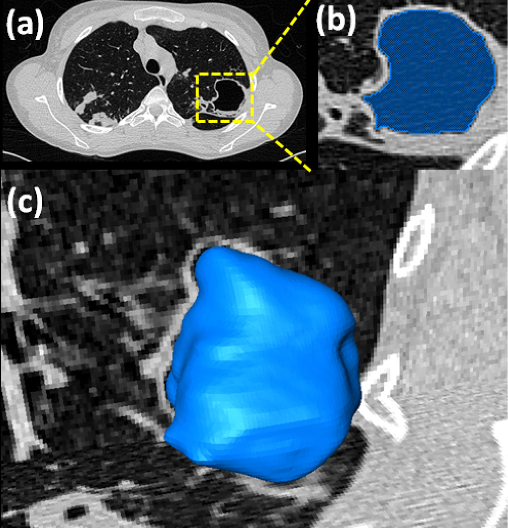 Fig. 9