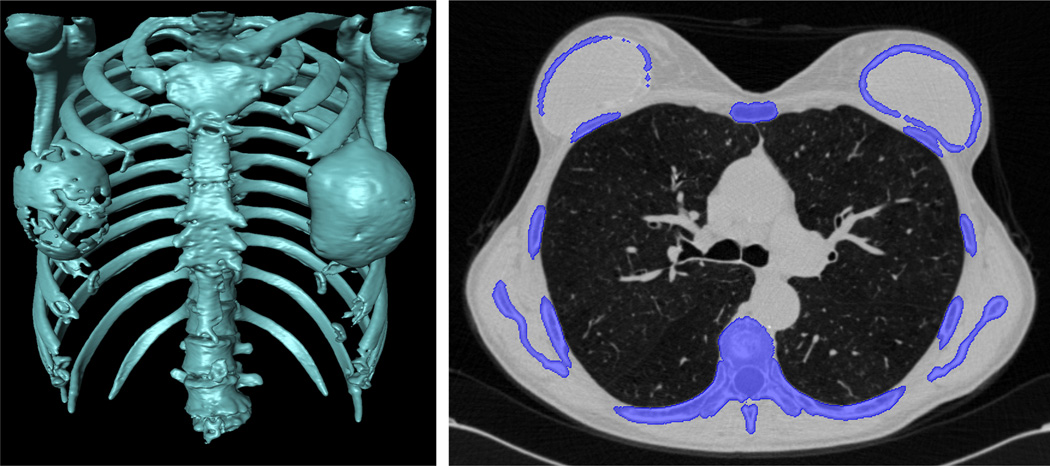 Fig. 20