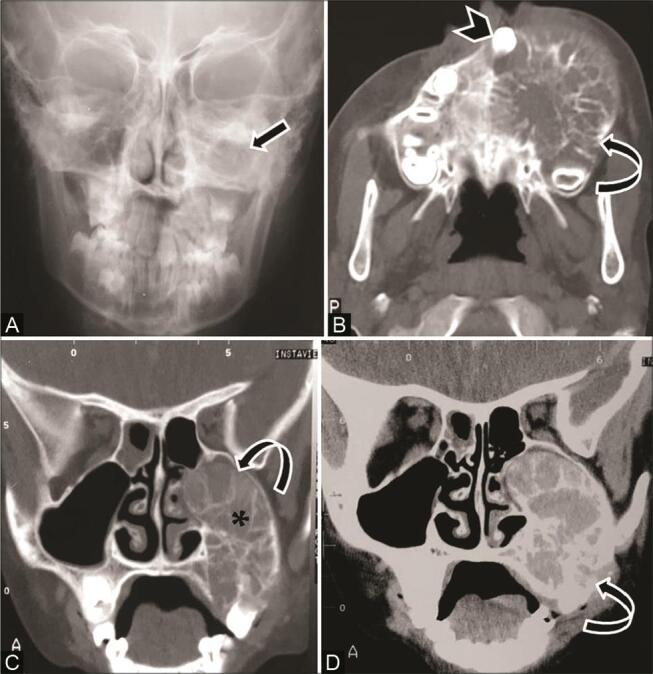 Fig. 8