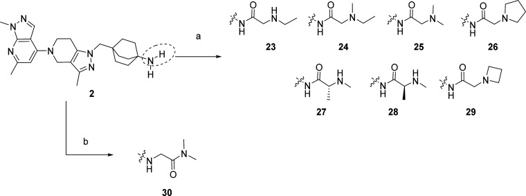 Scheme 3