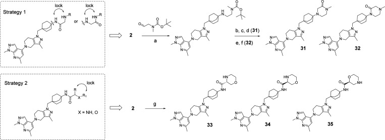 Scheme 4