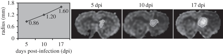 Figure 3.