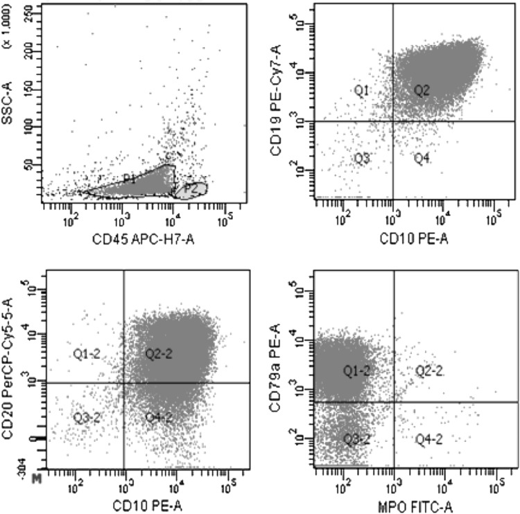 Fig. 1