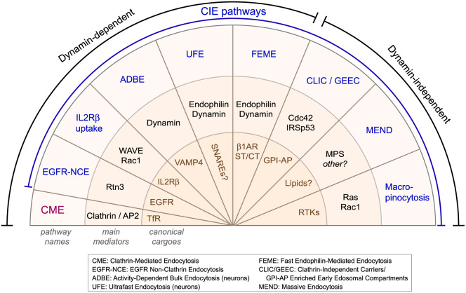 Figure 1.