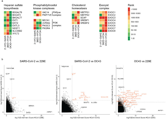 Extended Data Figure 2: