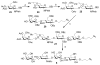 Scheme 4