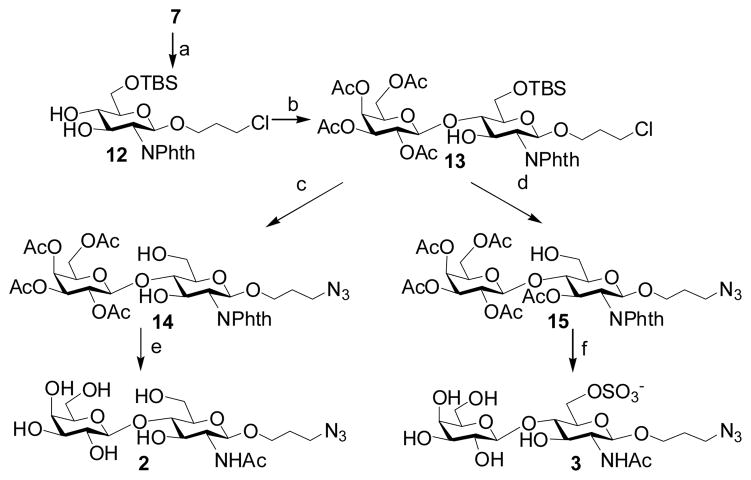 Scheme 2