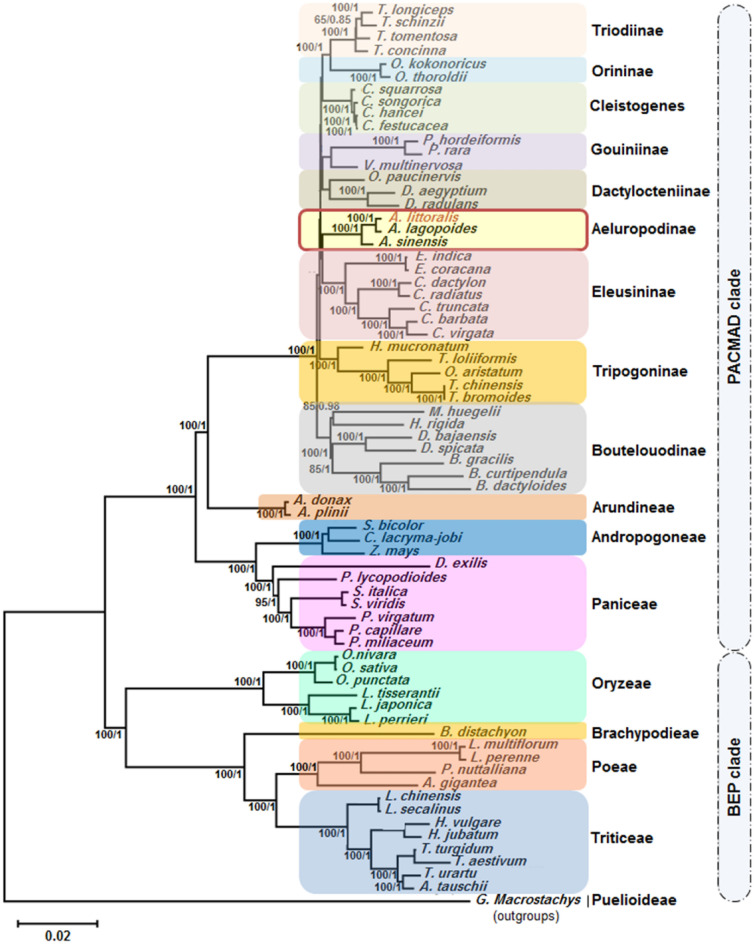 Figure 6