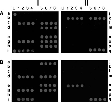 FIG. 5.