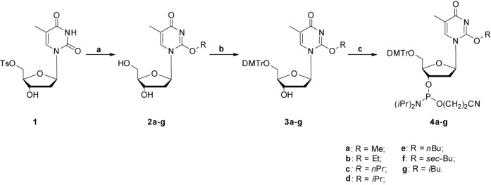 Scheme 2.