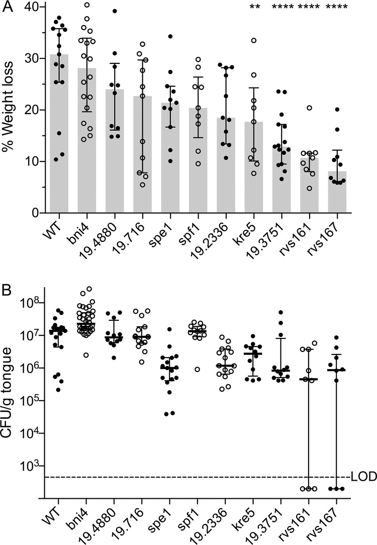 FIG 2