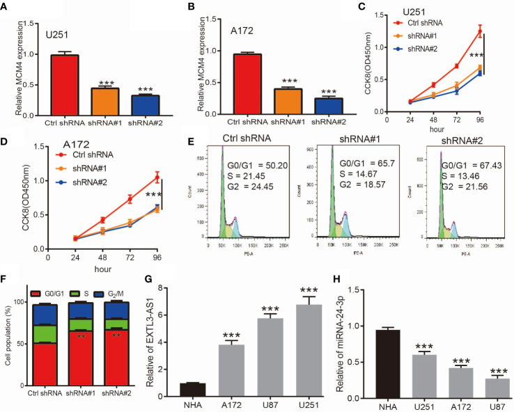 Figure 13