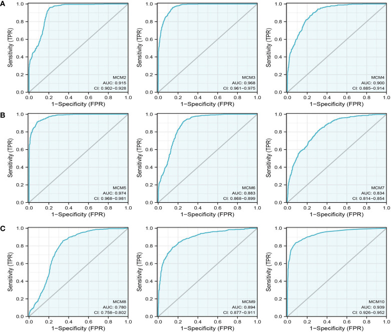 Figure 7