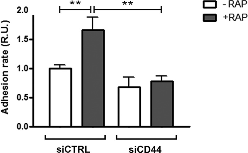 Fig 9