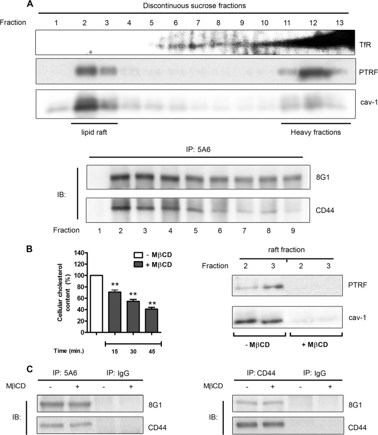 Fig 5