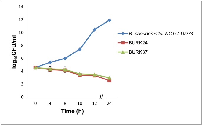 Figure 6