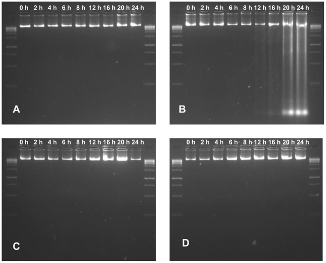 Figure 11