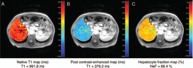 FIGURE 6