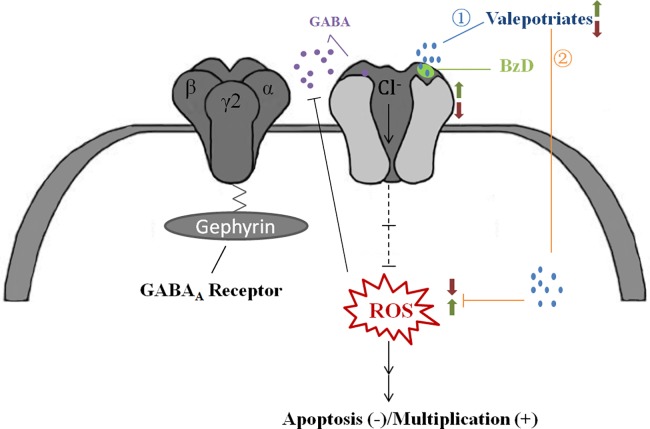 Fig 6