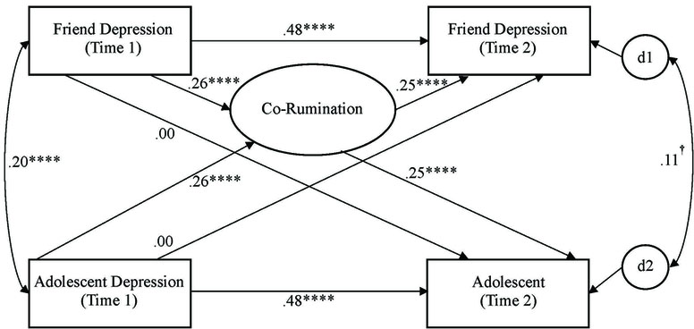 Figure 1 Panel B.