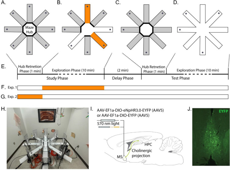 Figure 1: