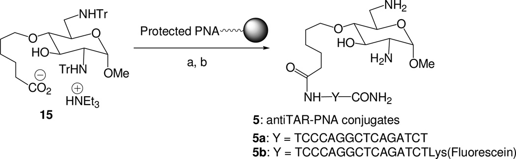 Scheme 2