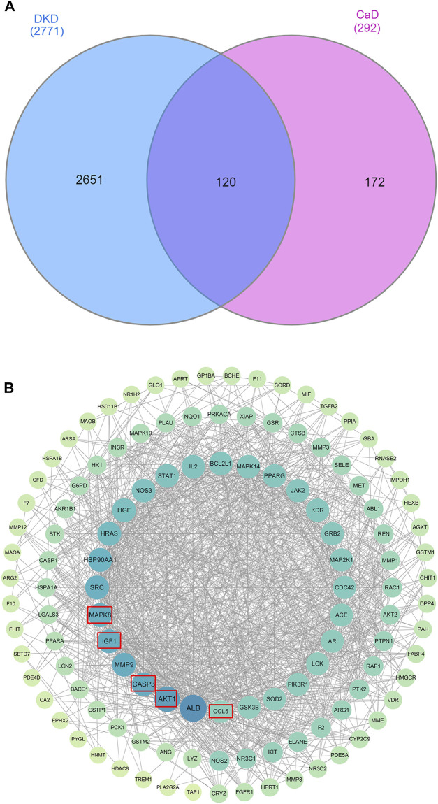 FIGURE 3