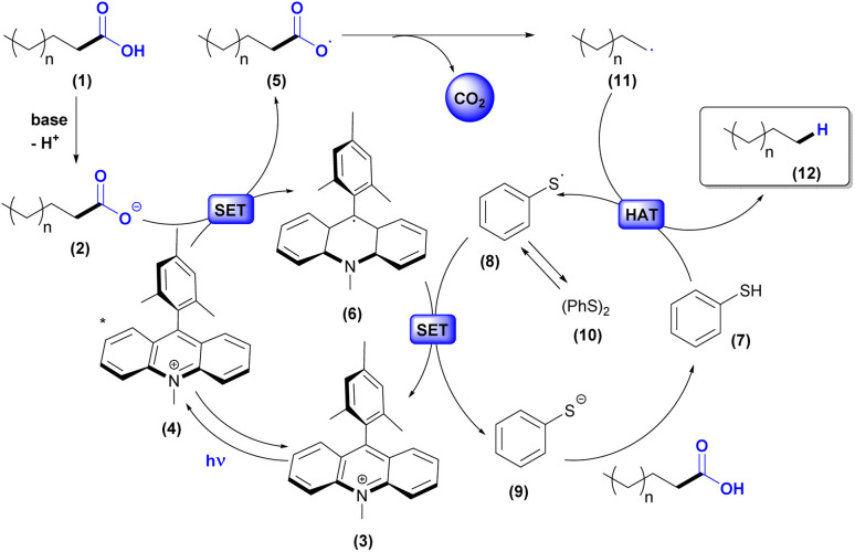 Scheme 2