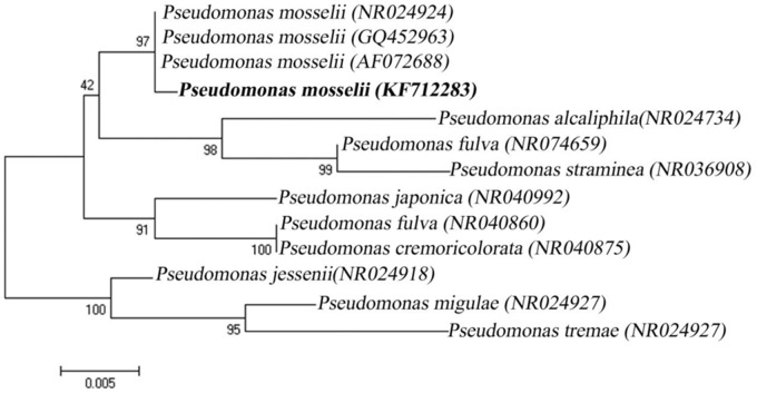 FIGURE 1