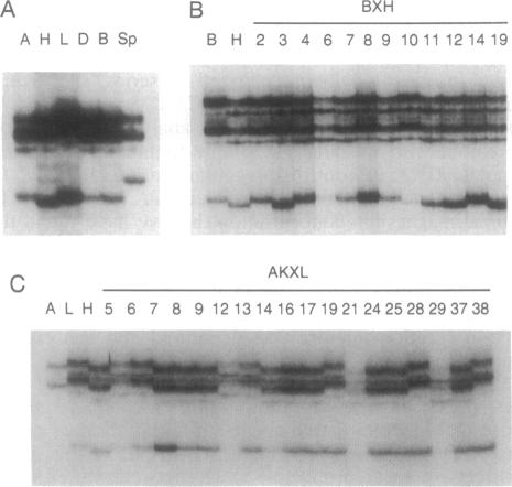 graphic file with name pnas01093-0256-a.jpg