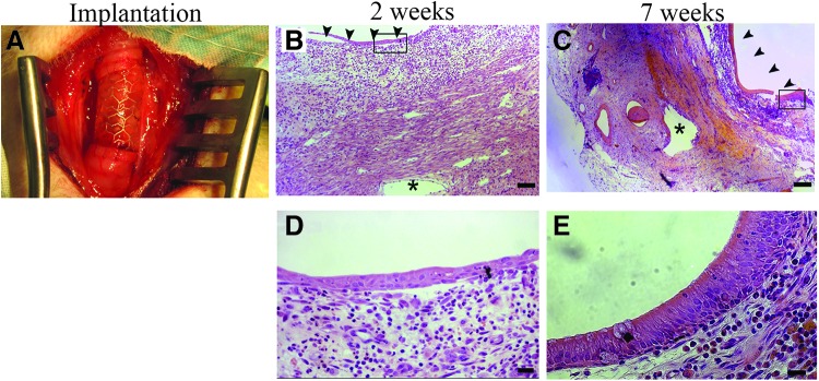 FIG. 8.