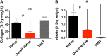 <b>FIG. 2.</b>