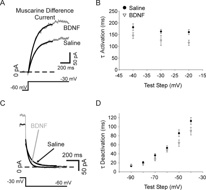 Figure 12.